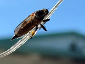 2025 05 30 09 03 20 967