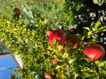 2025 09 20 13 55 08 652