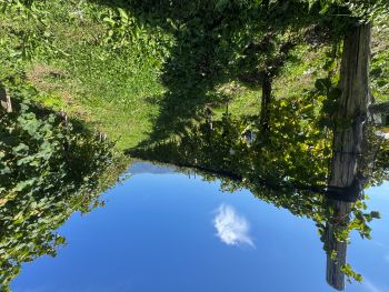 2025 09 20 13 55 47 669