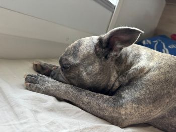 2025 08 14 07 10 37 052