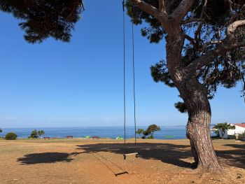 2025 08 16 09 50 00 393