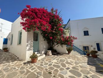 2025 06 17 08 57 16 597