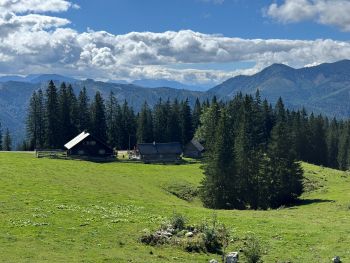 2025 08 31 11 33 48 637