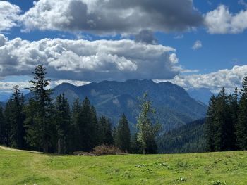 2025 08 31 12 54 20 726