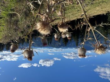 2025 08 31 16 21 47 697